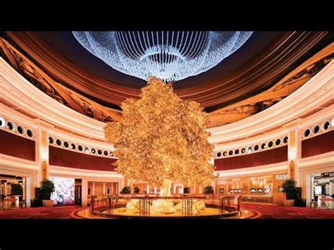 黃金發財樹|【澳門半島】永利澳門 wynn macau。吉祥樹表演時間。咖啡苑下。